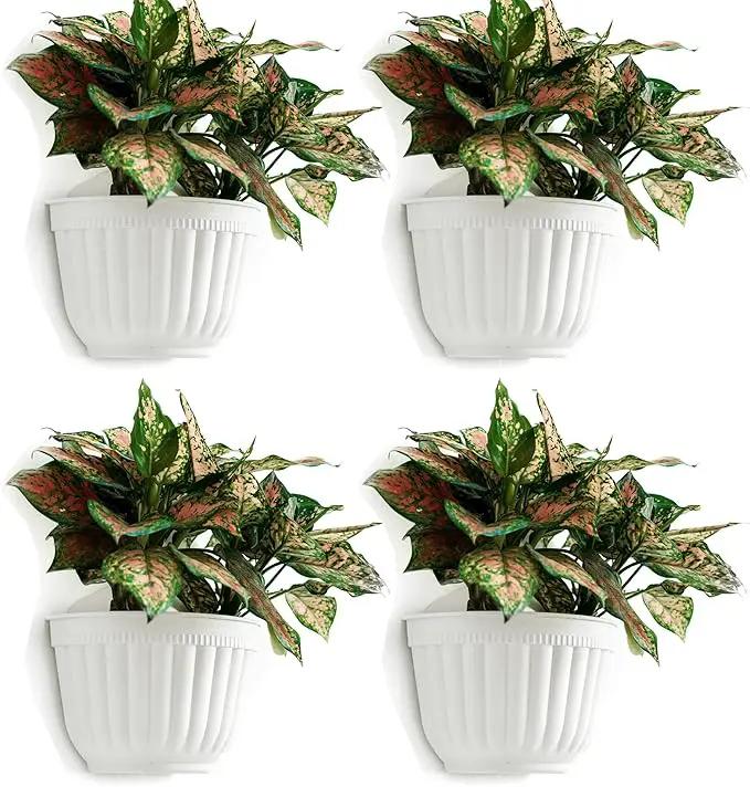 ORIMERC 4 Pack White Wall Planter Pots Vertical Living Wall Hanging Planters Wall Mounted Planter Holder with Drainage Hole for Indoor Outdoor Plants Wall Decor with Hooks/Screws by GreenHaven Gardens