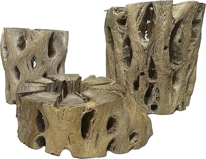3 Natural Cholla Wood Air Plant Display Holders Tiered 1, 2 & 3 inch Individually Unique Round Decorative Stands by GreenHaven Gardens