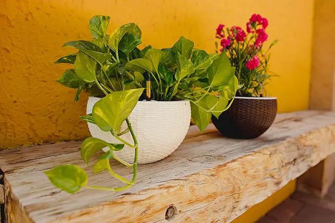 GARDENIX DECOR 11'' Self Watering Hanging planters for Indoor Plants - Flower Pot with Water Level Indicator for Plants, Hanging pots - Self Watering Planter Plant Pot-Coco Coir- Round 1 Pack - White by GreenHaven Gardens