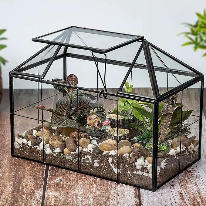 Ferrisland Glass Terrarium Greenhouse House Shape Display Box Planter for Succulents Plant Terrarium Container Mordern Tabletop Decor Gardern DIY Kit by GreenHaven Gardens