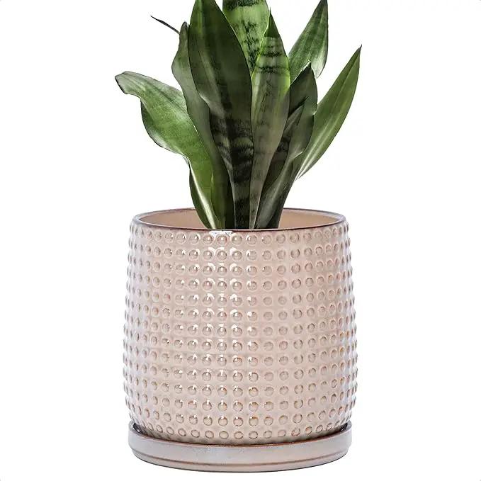 D'vine Dev 6 Inch Ceramic Beaded Stoneware Planter Pot - Flower Pot with Drainage Holes and Saucers for Indoor Succulent Plants or Flowers, Light Brown, 27-C-X-4 by GreenHaven Gardens