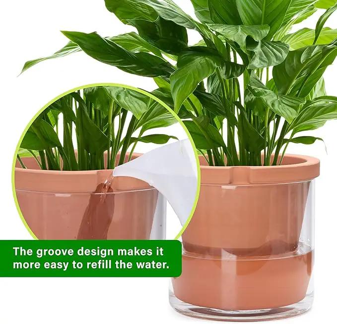 D'vine Dev 10 Inch Design Self Watering Pot for Indoor Plants, Terracotta Planter with Cylinder Glass Cup, 37-X-D-1 by GreenHaven Gardens