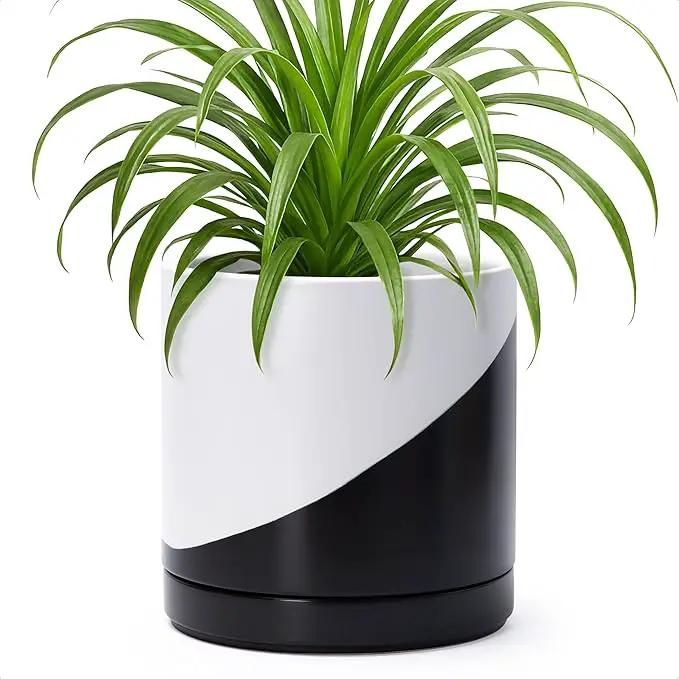 D'vine Dev 8.2 Inch Ceramic Planter Pot with Drainage Hole and Saucer, Indoor Cylinder Round Planter Pot, Oblique Monochrome Black and White, 94-O-D-K by GreenHaven Gardens