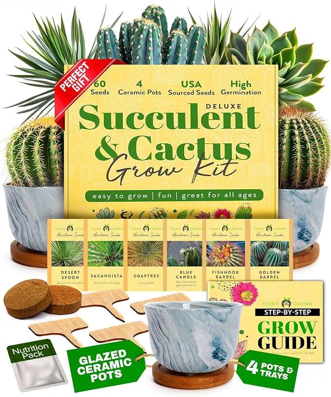 HOME GROWN Deluxe Succulent & Cactus Seed Grow Kit - Complete Indoor Plant Kit with Cactus Seeds, Potting Soil, Ceramic Pots, Drip Trays, and Grow Guide for Plant Enthusiasts by GreenHaven Gardens
