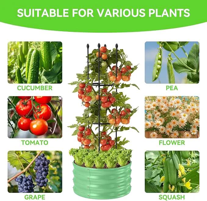 1 Pack Raised Garden Beds Outdoor, Galvanized Metal Raised Garden Bed with Trellis, 23.6x23.6x60in Tomato Cages for Garden Planters Box with Trellis for Climbing Plants Vegetable Vine Flowers by GreenHaven Gardens