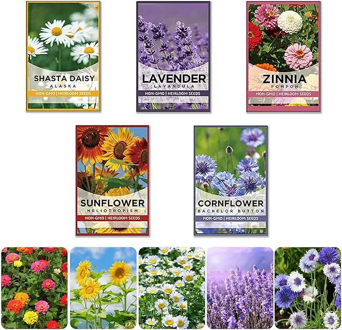 5 Kit - Growing into Shasta Daisy, Cornflower, Sunflower, Zinnia, Lavender for Indoor Outdoor Garden DIY Gifts by GreenHaven Gardens