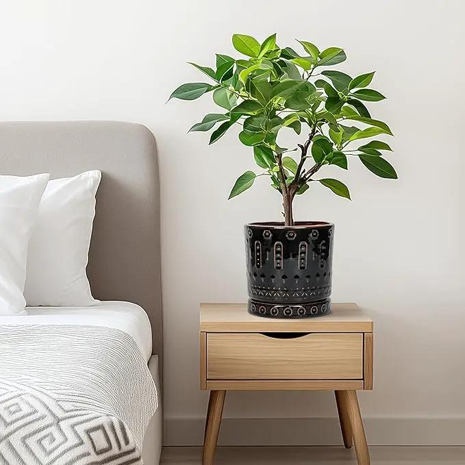 Ceramic Plant Pots - 6 Inch Ceramic Planter for Indoor Outdoor, Round Flower Pots with Drainage Hole and Plant Saucer, Boho Decorative Small Planter, House Decor, Gifts for Gardeners, Black by GreenHaven Gardens