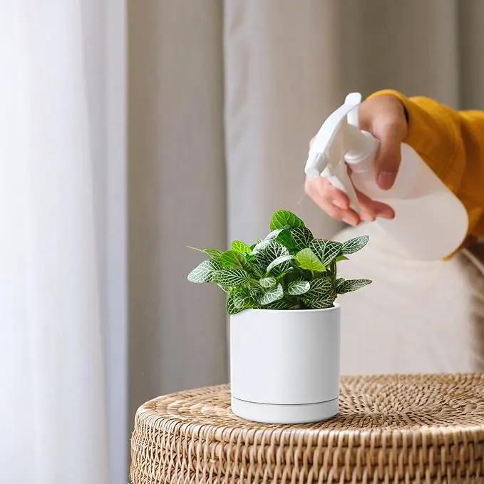 D'vine Dev Set of 4 Small Ceramic Plant Pots, 3.5 Inch Succulent Planter Pot for Plants with Drainage Hole and Saucer, White, 94-X-A-1 by GreenHaven Gardens