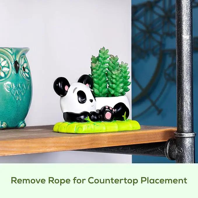 Panda Hanging Planter, Succulent Pot with Drainage, 6 ft Natural Fiber Cord, Ceramic Bear Animal Holder for Cacti & Small Plants, Decorative Panda Gift Decor for Women Men by GreenHaven Gardens