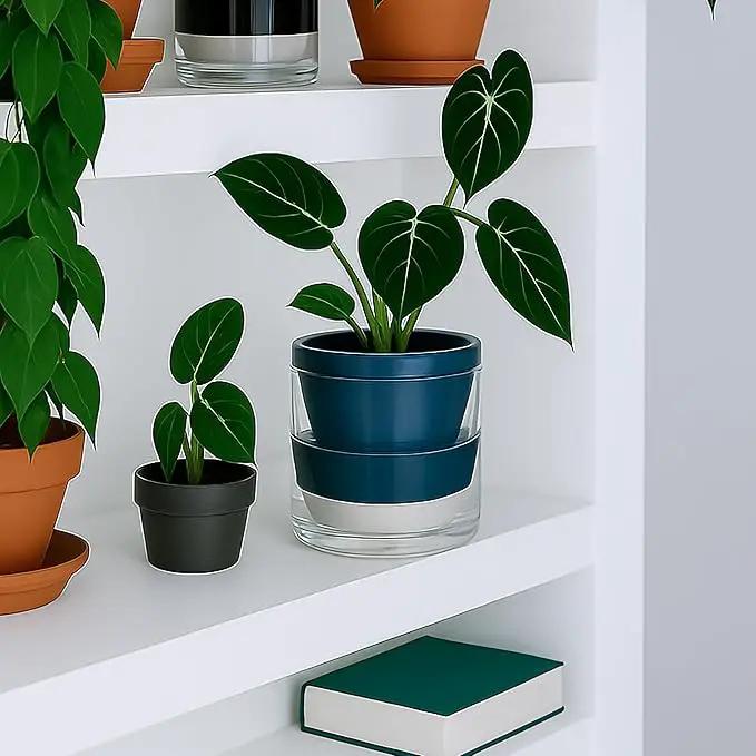 D'vine Dev 6 Inch Design Self Watering Planter for Indoor Plants, Blue Terracotta Pot with Cylinder Glass Cup, Set of 2, 37-Y-B-4 by GreenHaven Gardens