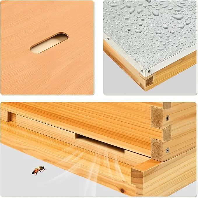 CREWORKS 10 Frame Bee Hive, 2 Layers Beeswax Coated Beehive Starter Kit with Frames & Foundations, Langstroth Bees Hives Box with Transparent Acrylic (Window Medium Box & Deep Box) by GreenHaven Gardens