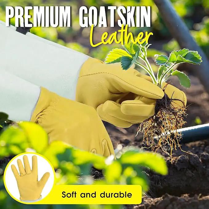 HANDLANDY Rose Gloves for Men & Women, Long Leather Gardening Gloves Thorn Proof, Best Garden Gifts & Tools for Gardener (Yellow-beige, Medium (Pack of 1)) by GreenHaven Gardens