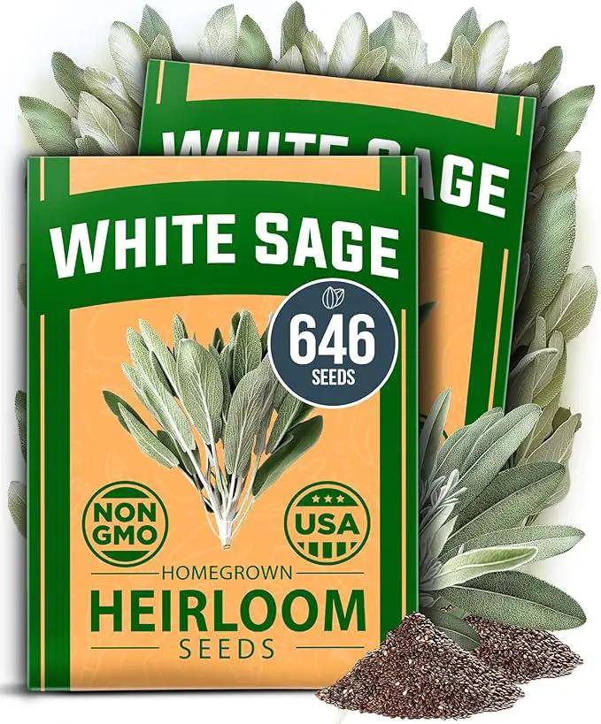 HOME GROWN White Sage Seeds 646 Pack 𝗡𝗢𝗡-𝗚𝗠𝗢, 𝗨𝗦𝗔-𝗦𝗢𝗨𝗥𝗖𝗘𝗗 Heirloom Seeds - Grow Aromatic Sage Plants for Your Herb Seeds Garden with Sage for Planting Outdoor or Indoor (Salvia apiana) by GreenHaven Gardens