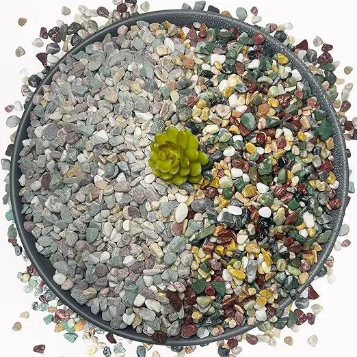 15LB Succulents Rocks for Plants Cactus Gravel Pebbles for Fish Tank 1/2 Inch Natural River Rocks for Vase, Aquarium, Landscaping,Bonsai,Terrarium Pebbles, Mixed Color by GreenHaven Gardens