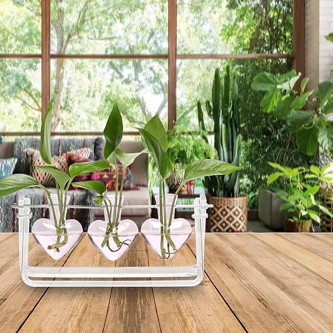 Plant Terrarium Propagation Stations with Acrylic Stand Birthday Gifts for Women Plant Stand Indoor Office Home Decor by GreenHaven Gardens