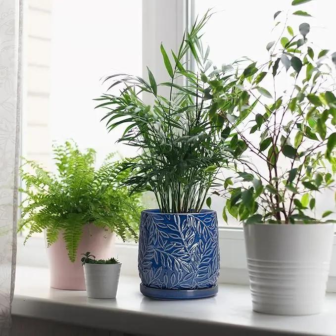 D'vine Dev 6 Inch Embossed Leaves Stoneware Planter Pot with Drainage Hole and Saucer, Midnight Blue, 27-A-X-3 by GreenHaven Gardens