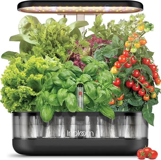 inbloom 12 Pods Hydroponics Growing System Kit, Herb Garden Planter Indoor Kit, Indoor Gardening Hydroponics Growing System with 4.2L Water Pump, Height Adjustable, Gifts for Woman, Transparent Black by GreenHaven Gardens