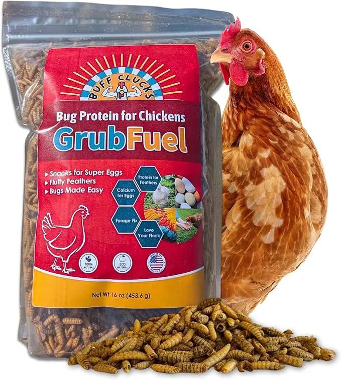 Grub Fuel Black Soldier Fly Larvae for Chickens - Nutrient-Packed BSFL, Sustainably Sourced Snack for Poultry, Rich in Protein, Calcium, Fiber, Essential Fatty Acids, USA Grown (1LB) by GreenHaven Gardens