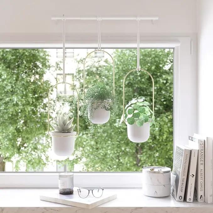Umbra Triflora Hanging Planter for Window, Indoor Herb Garden, Set of 3, White/Brass by GreenHaven Gardens