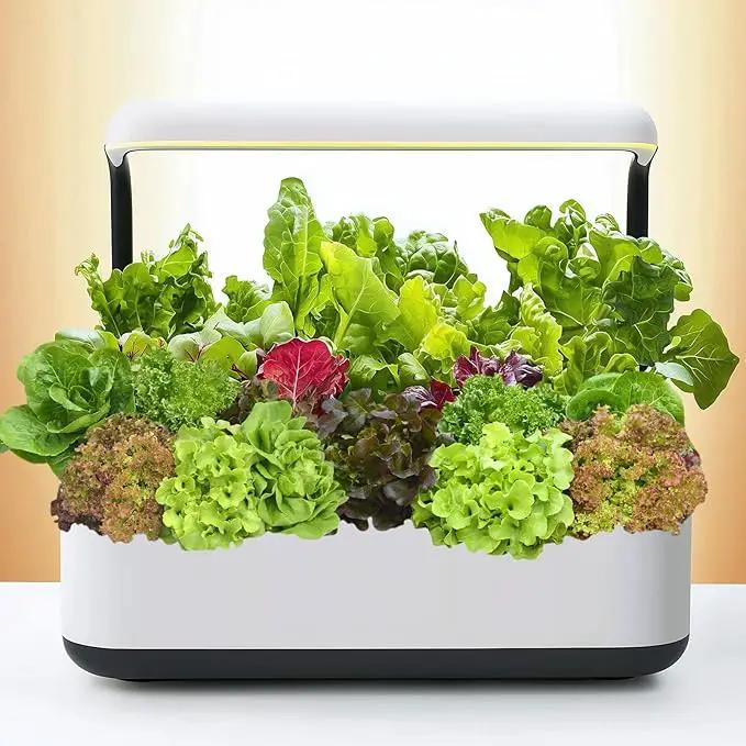 20,000+ Lettuce Seeds, Heirloom Vegetable Seed for Planting Indoor Outdoor, 10 Varieties Fresh Lettuce Salad Seeds Garden Hydroponics Kit - Romaine, Iceberg, Boston, Bibb and More, Non-GMO by GreenHaven Gardens