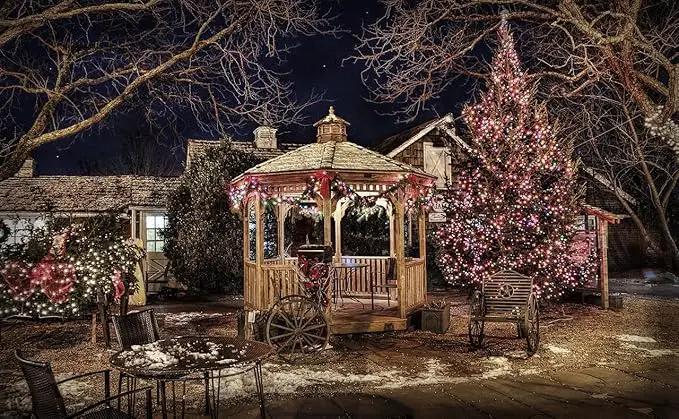 Outdoor String Lights, 600 LED 216Ft Christmas Light with Remote, 8 Lighting Modes, Powered Plug for Wedding Party Garden Tree Yard Indoor Decorations(216 Ft | Multi, 216 Ft) by GreenHaven Gardens
