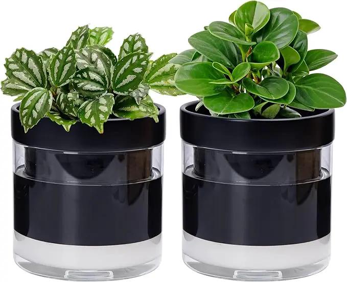 Phoenix Vine 6 Inch Self Watering Planter Pot, Black Terracotta Clay Pot with Glass Reservoir for Indoor Plants, Herbs, Flowers, Set of 2, 52-C-F-2 by GreenHaven Gardens