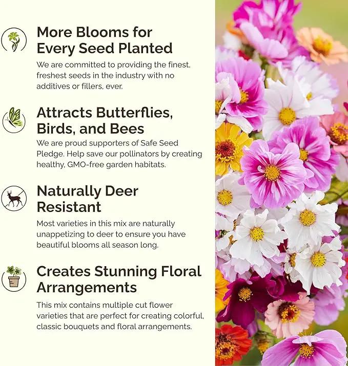 Eden Brothers Cosmic Zen Flower Mixed Seeds for Planting, 1 lb, 480,000+ Seeds with Zinnia Dahlia Flowered, Cosmos Sensation | Attracts Pollinators, Plant in Spring, Zones 3, 4, 5, 6, 7, 8, 9, 10 by GreenHaven Gardens
