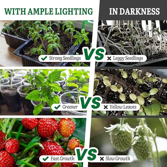 SOLIGT Grow Lights for Seed Starting, 2FT LED Full Spectrum Seedling Lights with Stand for Indoor Plants Vegetable Growing, Duoble Brightness, Height Adjustable, Energy Efficient by GreenHaven Gardens