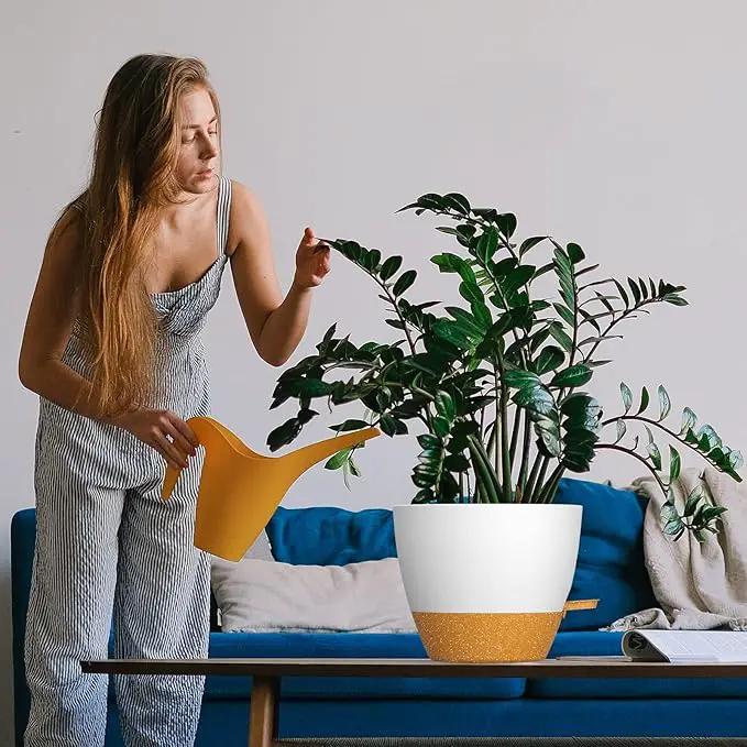 WOUSIWER 10 inch Self Watering Planters, 2 Pack Large Plastic Plant Pots with Deep Reservior and High Drainage Holes for Indoor Outdoor Plants and Flowers, White with Terracotta by GreenHaven Gardens