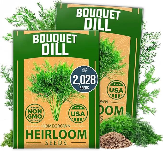 HOME GROWN Dill Seeds 2 Pack (Anethum Graveolens) - 2028 Non-GMO Heirloom Herb Seeds for Planting Indoors or Outdoors, High Germination, Ideal for Herb Gardens, Pots, and Cooking Flavorful Dishes by GreenHaven Gardens