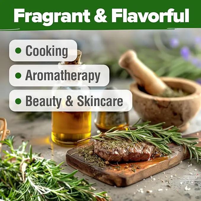 HOME GROWN 𝗨𝗦𝗔 𝗣𝗥𝗘𝗠𝗜𝗨𝗠 Rosemary Seeds Pack - 150 High Germinating 𝗡𝗢𝗡-𝗚𝗠𝗢 Heirloom Herb Seeds for Planting in Indoor or Outdoor Herb Gardens (Salvia rosmarinus) by GreenHaven Gardens