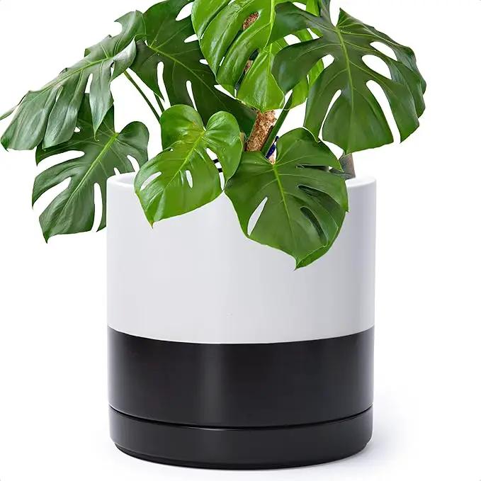 D'vine Dev 10 Inch Ceramic Planter Pot with Drainage Hole and Saucer, Indoor Cylinder Round Planter Pot, Layered Monochrome Black & White, 94-O-E-L by GreenHaven Gardens