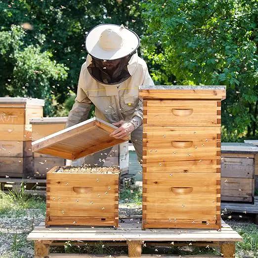 VINGLI 10-Frame Bee Hive, Wax Coated Beehive Starter Kit with Frames & Beeswax Coated Foundation Sheets (3 Layer) by GreenHaven Gardens
