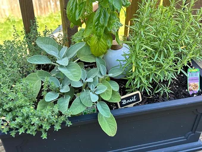 Plant Self Watering Globes - Terracotta Watering Spikes - Slow Release Olla Pots - Holds 16 oz - Drip Irrigiation Olla System by GreenHaven Gardens