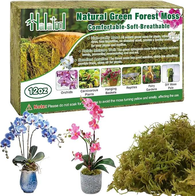 Halatool 0.75LB Green Forest Moss for Plant Indoor- 18QT Natural Orchid Moss Sphagnum for Potting Mix, Real Dry Moss for Repotting Potted Plants Orchids Succulent Carnivorous Cactus Pothos by GreenHaven Gardens