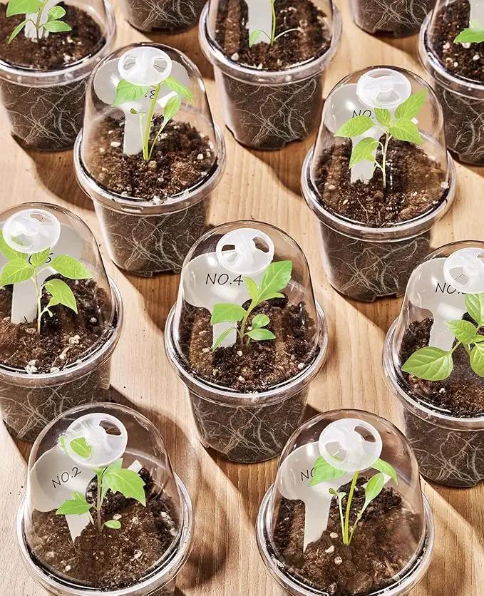 homenote Clear Nursery Pots for Plants,3/4/5 Inch Plant Pot for Planting with Humidity Domes Plastic Seedling with Drainage Holes Seed Starter Flower High Transparency (15 Pack) by GreenHaven Gardens
