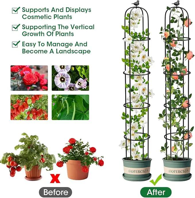 2 Pcs Garden Trellis for Climbing Plants, 6.2 Ft Rustproof Metal Pipe with Heavy Duty Plastic Coated, Garden Outdoor Indoor Potted Plant Support, Obelisk Garden Trellis for Climbing Vine by GreenHaven Gardens