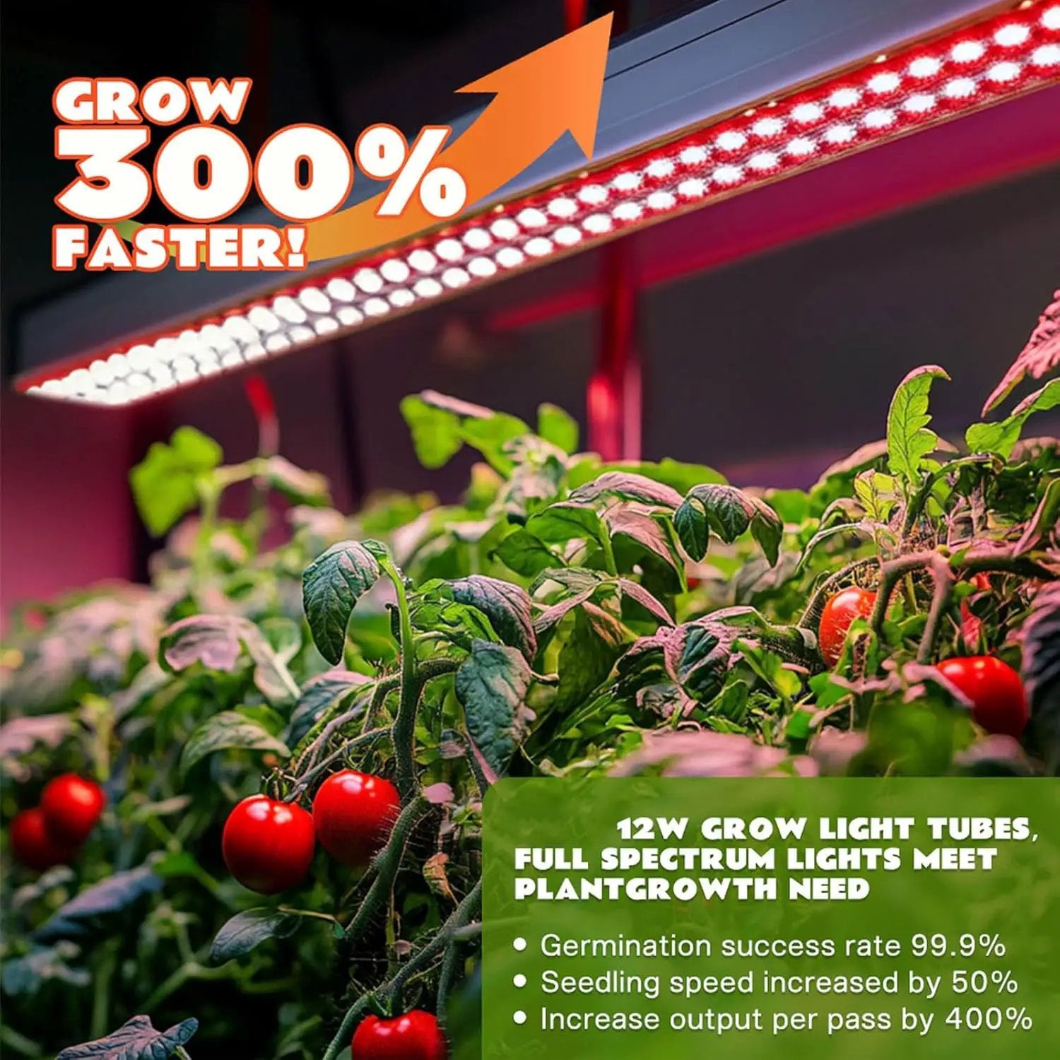 Large 3-Tier Indoor Hydroponics System Kit with Grow Lights, Double Water Pump Indoor Garden, and 72 Large Pods for Vegetables Herbs Microgreens by GreenHaven Gardens