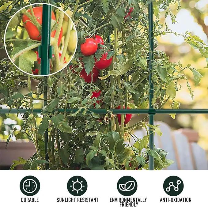 MAXPACE 249pcs Garden Stakes Kit: Includes 80 Sets of Fiberglass Plant Sticks Supports & Accessories for DIY 4ft, 5ft, 6ft, 7ft Stakes for Tomato, Vegetables, Indoor & Outdoor Gardening Supplies by GreenHaven Gardens