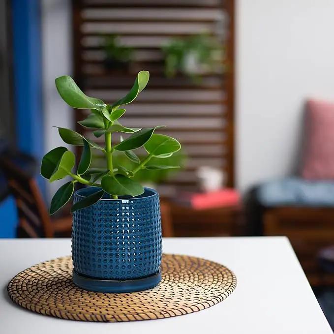 D'vine Dev Set of 2 Ceramic Plants Pots, 4 Inch Beaded Stoneware Flower Pot for Plants with Drainage Hole and Saucer, Midnight Blue, 27-E-Z-3 by GreenHaven Gardens