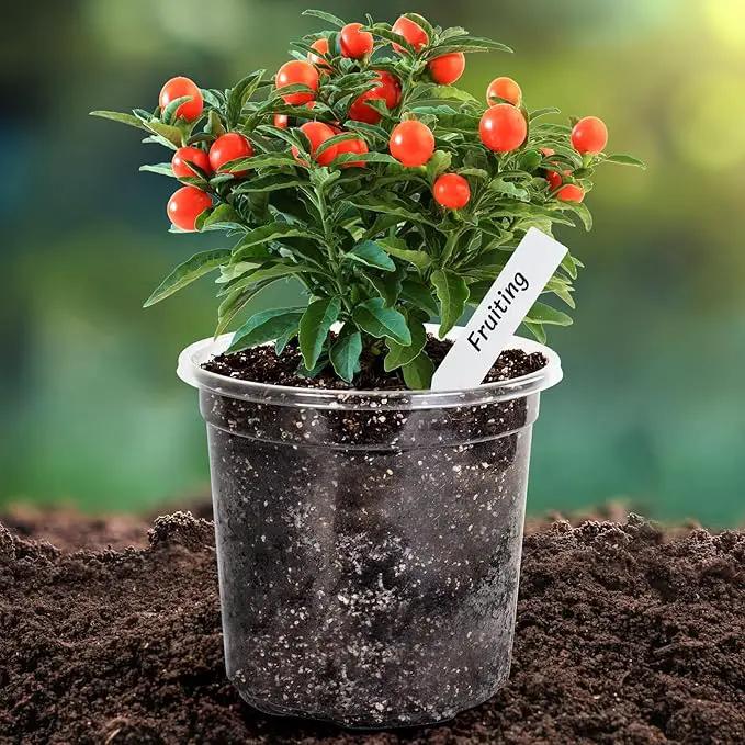 Bonviee 1 Gallon Clear Nursery Pots, 6.7 Inch Plastic Seedling Pots with Drainage Holes, Planters for Indoor Plants and Small Seed Starters, High Transparency Flower Pots with 10 Plant Labels, 20 Pack by GreenHaven Gardens
