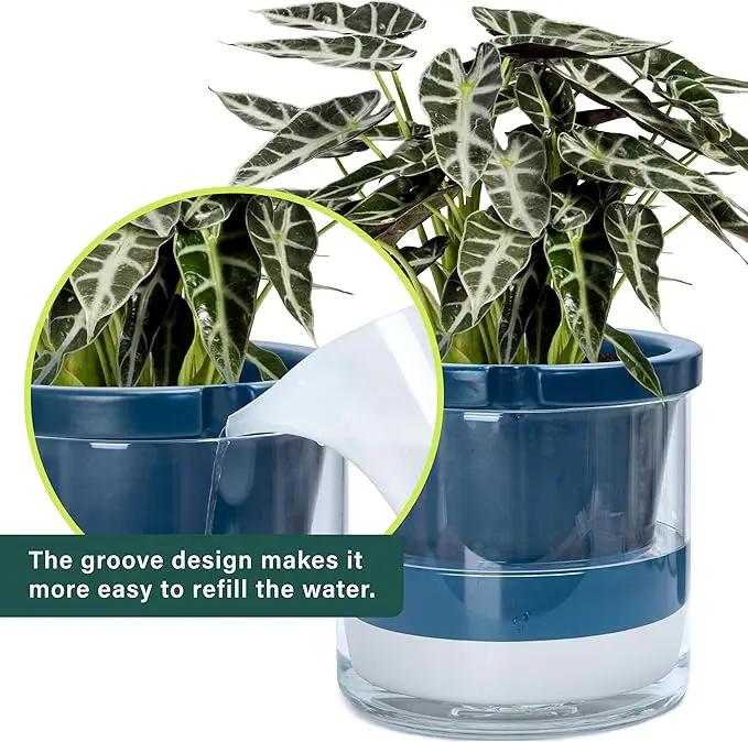 D'vine Dev 10 Inch Design Self Watering Planter for Indoor Plants, Blue Terracotta Pot with Cylinder Glass Cup, 37-X-D-4 by GreenHaven Gardens