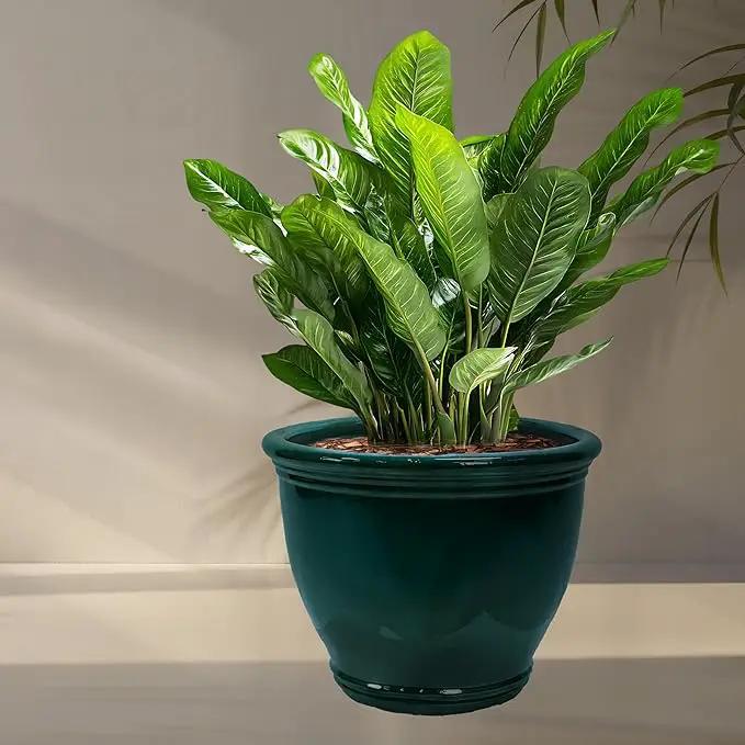 Sunnydaze Studio Large Ceramic Plant Pot - Round Outdoor Glazed Ceramic Planter Pot with Drainage - Dark Green - 18.5 in by GreenHaven Gardens
