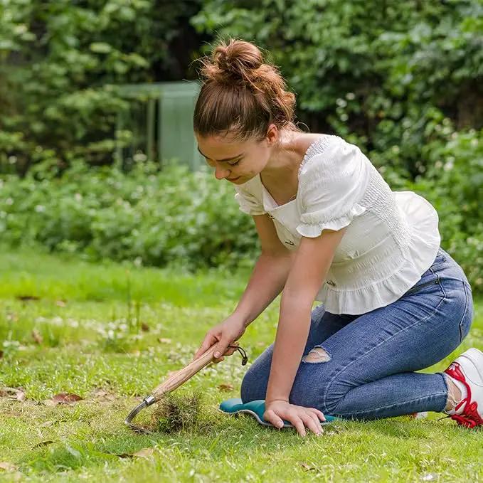 Berry&Bird Japanese Weeder-Scraper-Hoe, 12.67-Inch Gardening Sickle Hoe, Stainless Steel Bent Angle Weeding Sickle, Weeder Hoe with Ergonomic Ash Wood Handle for Weeding, Soil loosening, Digging by GreenHaven Gardens