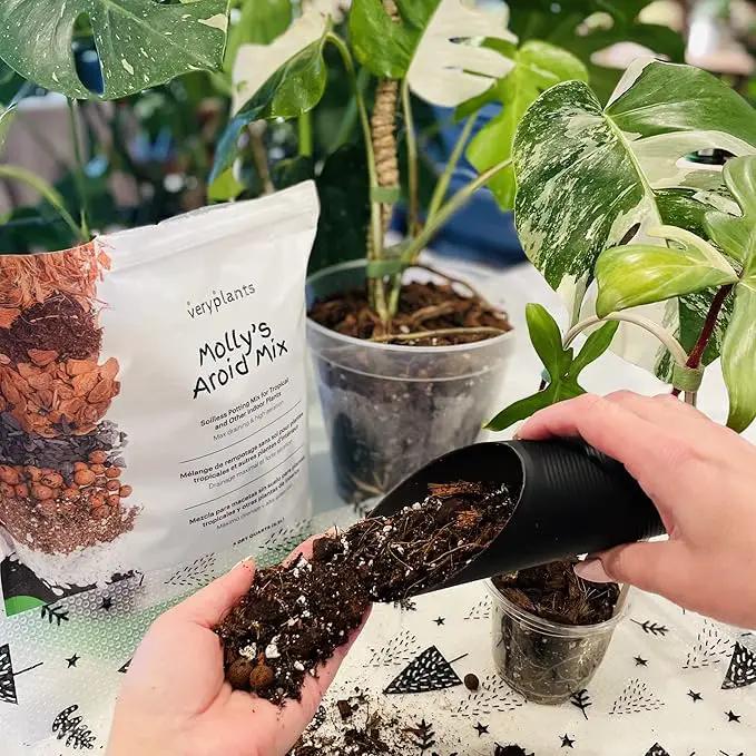 Molly's Aroid Mix - Premium Soilless Chunky Potting Mix for Tropical and Indoor Plants - Contains Orchiata Bark, Coco Chips, Worm Castings, Horticultural Charcoal, Mycorrhizae 10 Dry Quarts by GreenHaven Gardens