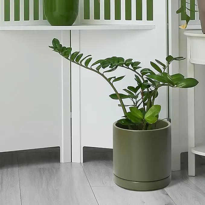 D'vine Dev 8 Inch Ceramic Planter Pot with Drainage Hole and Saucer, Indoor Cylinder Round Planter Pot, Olive, 94-O-D-J by GreenHaven Gardens