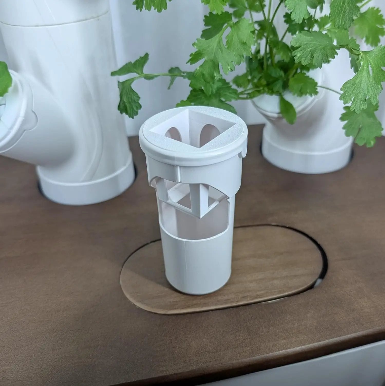 Grow Cubes for Hydroponic System/Compatible with Gardyn (20 Cubes+Rockwool) by GreenHaven Gardens