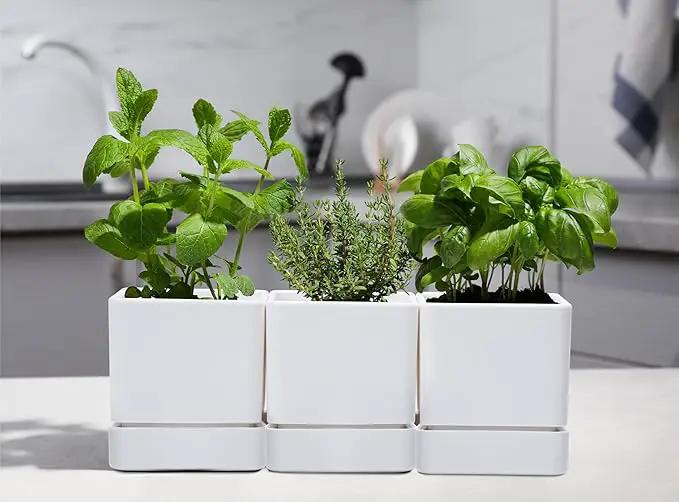 4 Inch Herb Planter Pot, Plastic Planter with Drainage Holes and Saucer, Modern Decorative Gardening Pot for Indoor Plants, Flowers, Herbs, Succulents, White, Set of 3, 76-Y-A-3 by GreenHaven Gardens