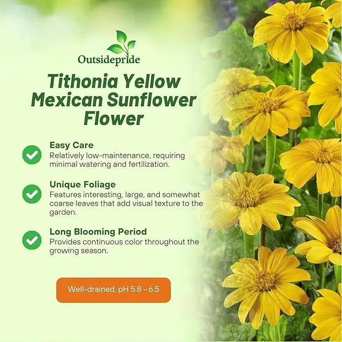 Outsidepride Yellow Torch Mexican Sunflower Seeds - 1000 Pcs Annual, Easy-to-Grow, Yellow Tithonia Speciosa Flower Seeds w/Drought-Tolerant Blooms for Pollinator Gardens & Vibrant Summer Landscaping by GreenHaven Gardens