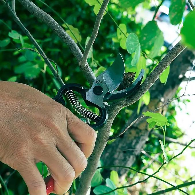 DAESUNG Bypass Pruning Shears For Gardening, Bypass Pruner For Gardening Heavy Duty, Bypass Pruners, Garden Shears Pruning Heavy Duty, with 5/8 Inch Cutting Capacity VGS-001 (Made in Vietnam) by GreenHaven Gardens